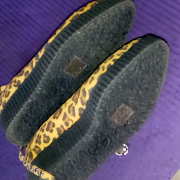 Tuk leopard creapers - Picture 3 of 5